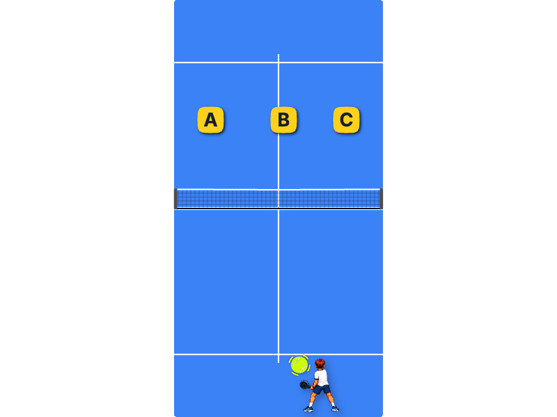 Net’s height