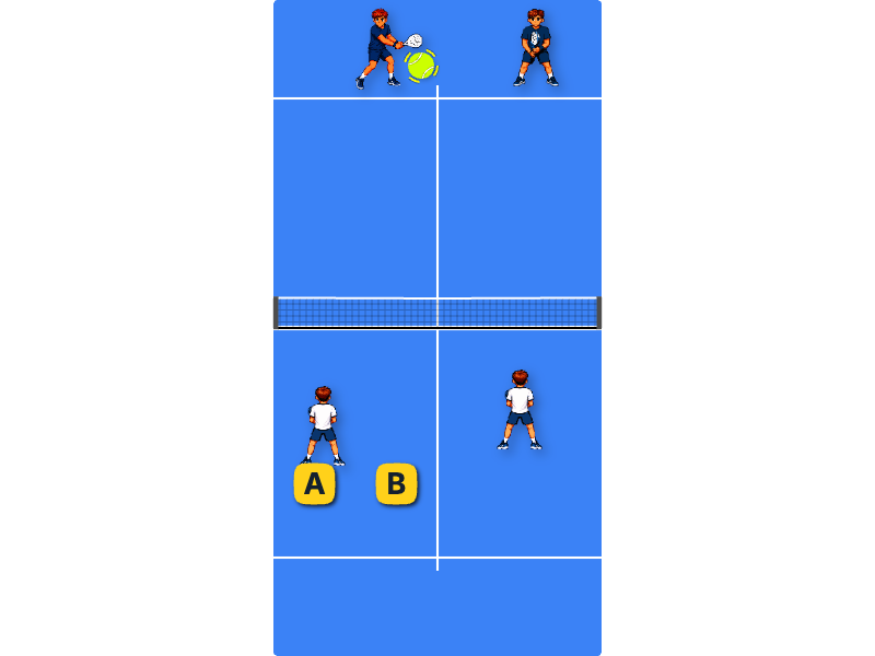 Where to stay at the net
